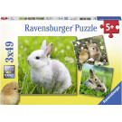 Ravensburger Puzzle Roztomilý zajačik 3x49